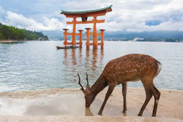 記事サムネイル