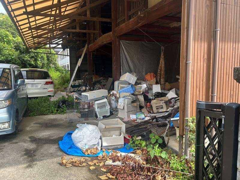 レス3番の画像2