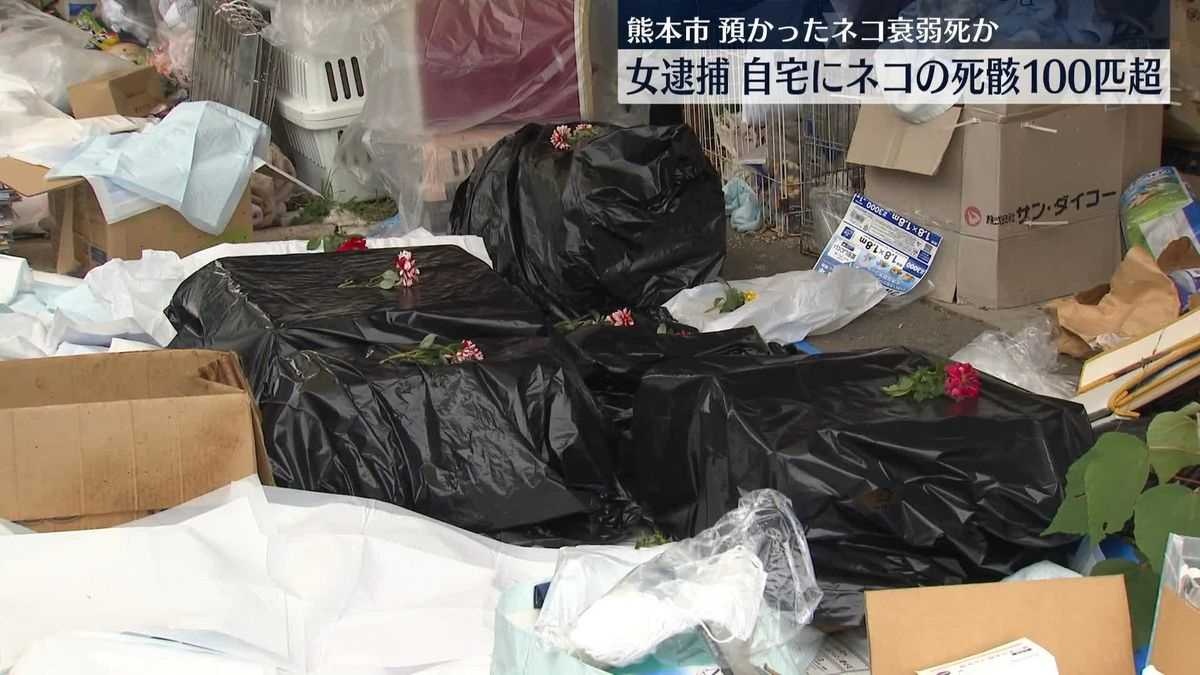 レス3番の画像3