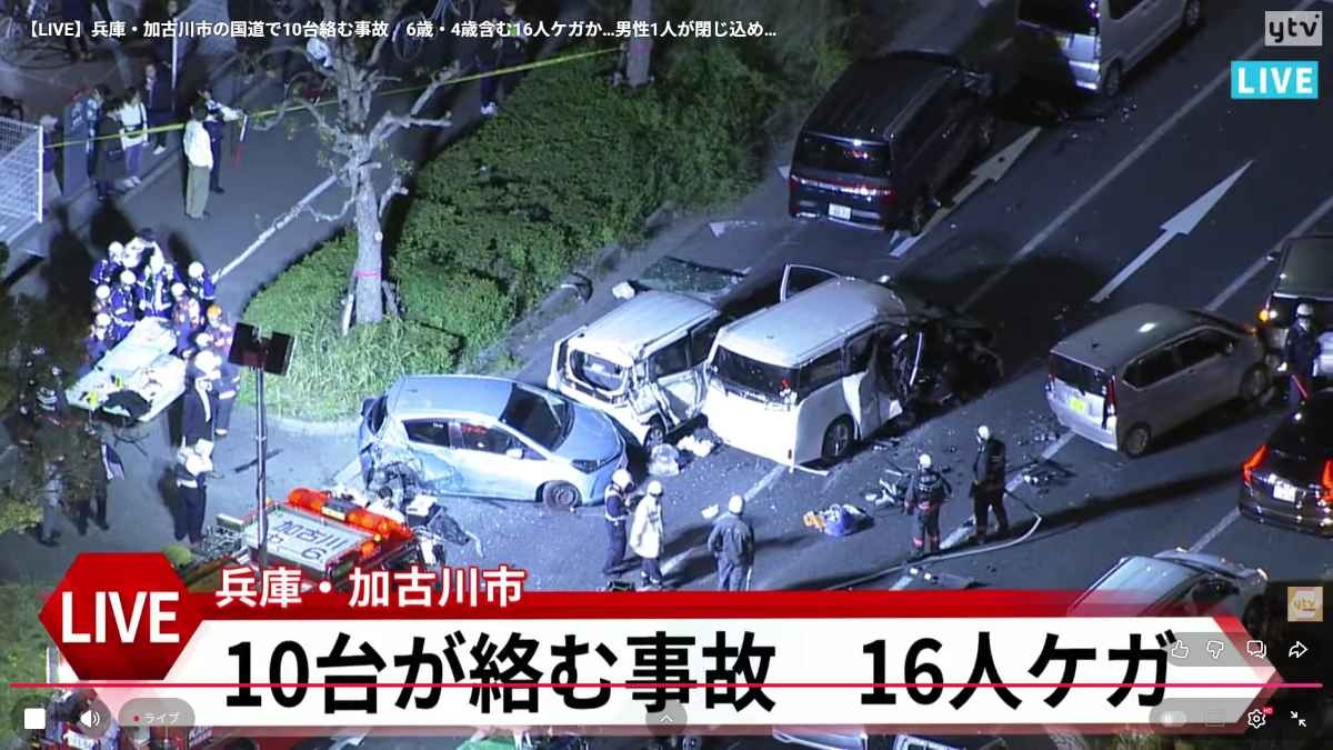 レス11番の画像1