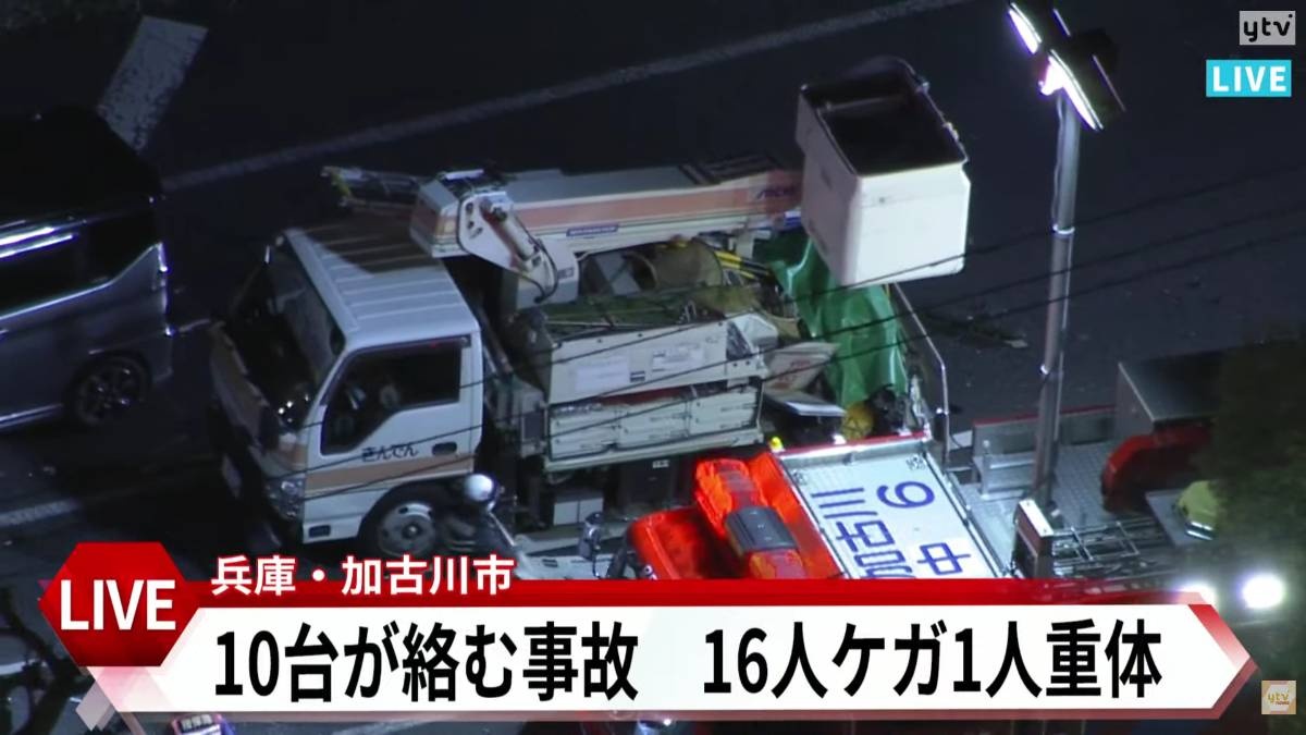 レス11番の画像4