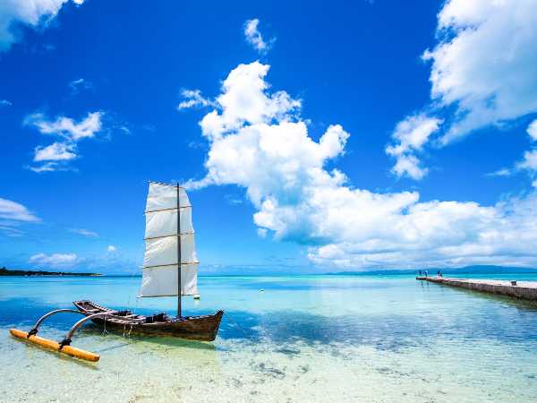 記事サムネイル