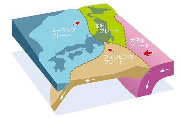 レス2番の画像1